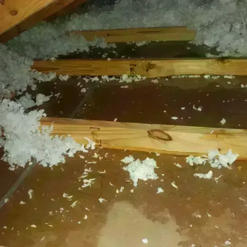 Attic Water Damage in Howell, MI