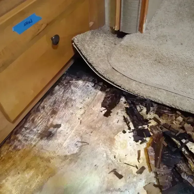 Wood Floor Water Damage in Howell, MI